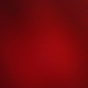 Meet your Posher, Trevor